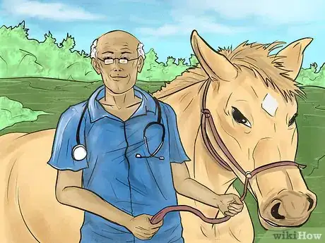 Image titled Become a "Horse Whisperer" Step 16